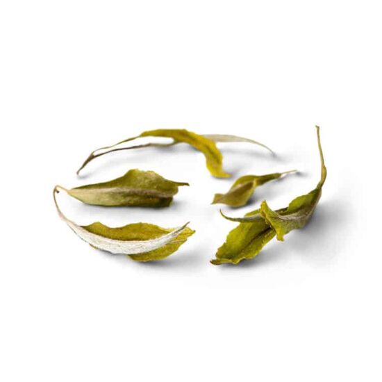 thé blanc sakhejung white tea bio 213 nunshen vrac