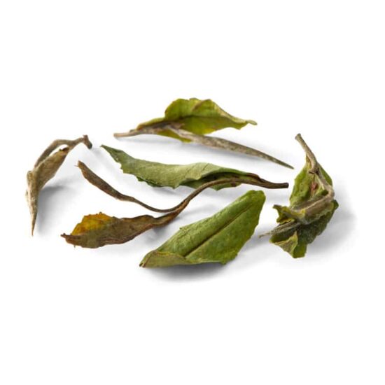 thé blanc yanki bai mu da 223 nunshen