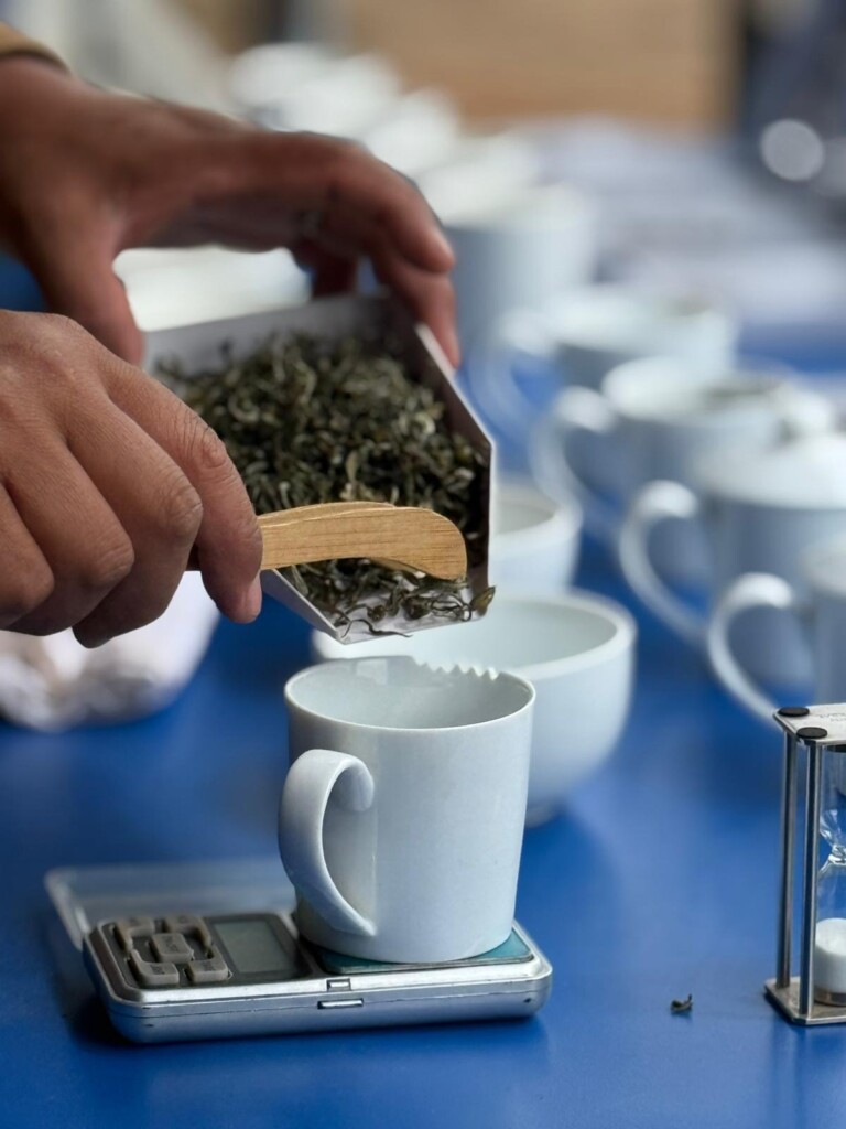 Dosage des feuilles de thé lors de la préparation