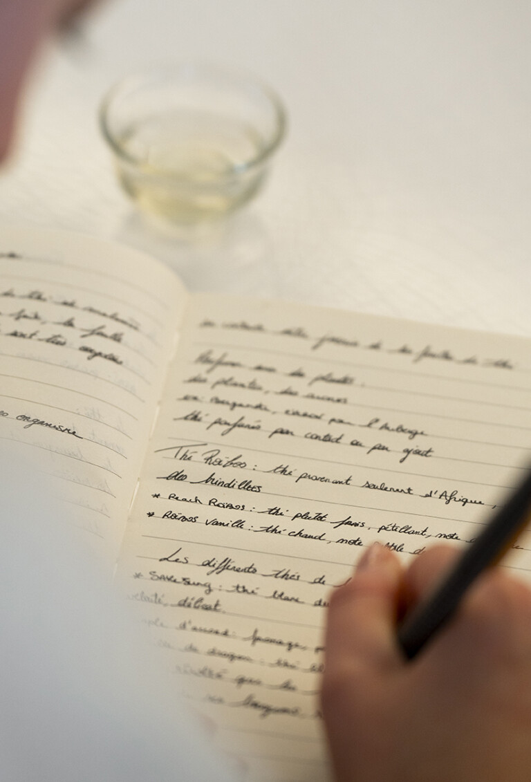 Notes manuscrites sur les familles de thé