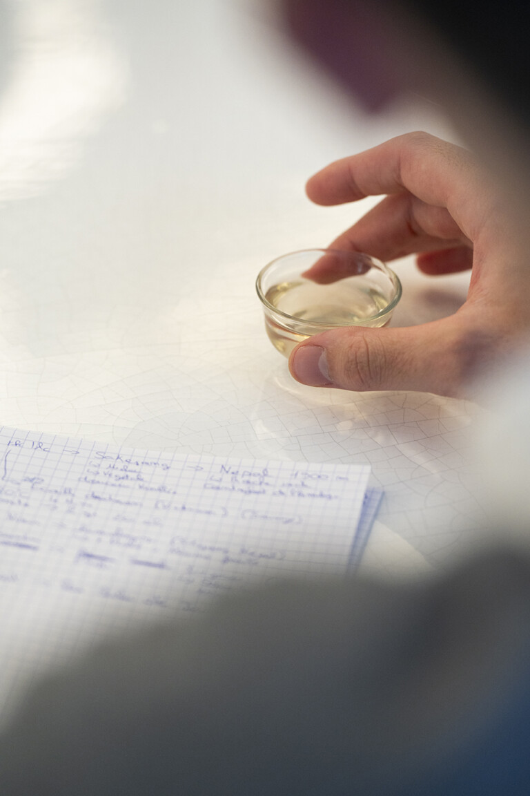 Notes de dégustation sur les thés du Népal et tasse de liqueur