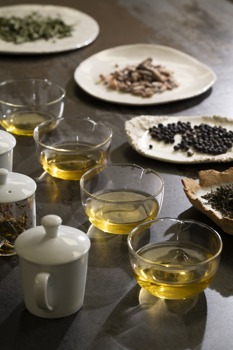 Liqueurs de thé et assiettes de feuilles lors d’une dégustation commentée